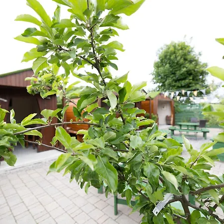 Hotel The Orchard House 4*