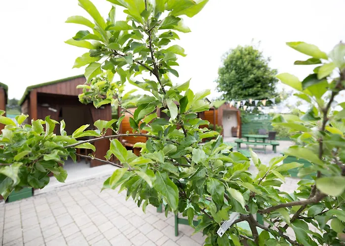 Hotell The Orchard House 4*